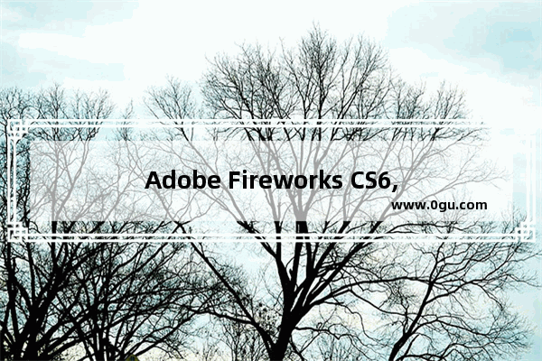 Adobe Fireworks CS6,adobe flash cs6安装包