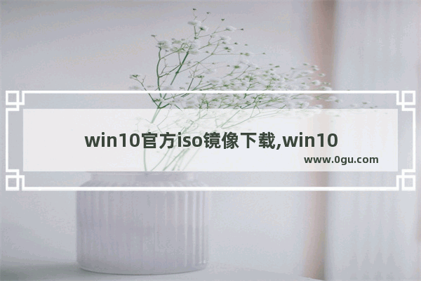 win10官方iso镜像下载,win10安装版iso镜像