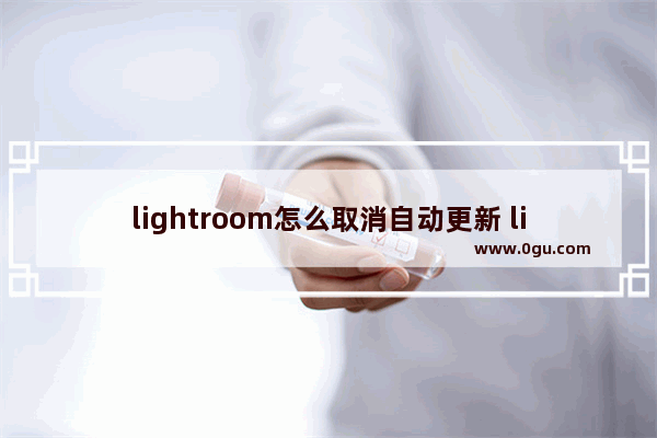 lightroom怎么取消自动更新 lightroom关闭自动检查更新的方法