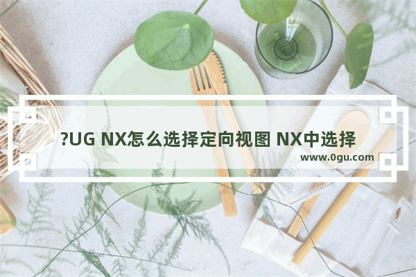 ?UG NX怎么选择定向视图 NX中选择定向视图的方法教程