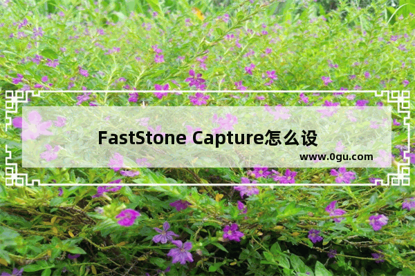 FastStone Capture怎么设置截图自动保存