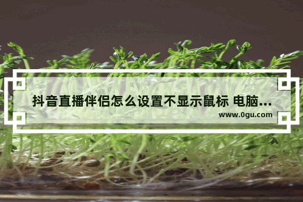 抖音直播伴侣怎么设置不显示鼠标 电脑版抖音直播伴侣不显示鼠标的方法