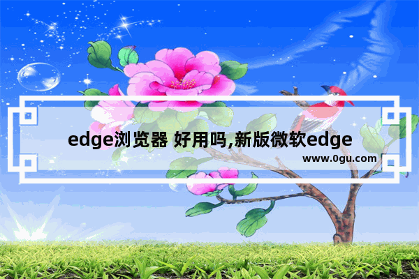 edge浏览器 好用吗,新版微软edge浏览器好用吗