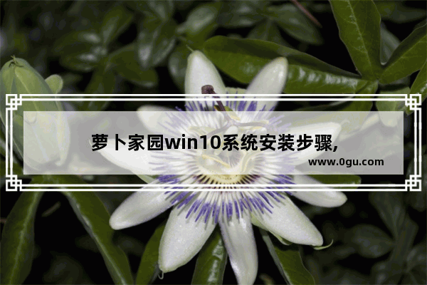 萝卜家园win10系统安装步骤,