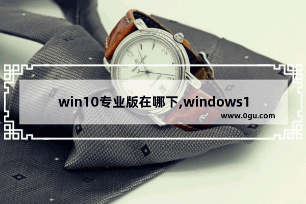 win10专业版在哪下,windows10专业版怎么用