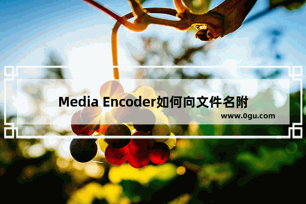 Media Encoder如何向文件名附加预设名称