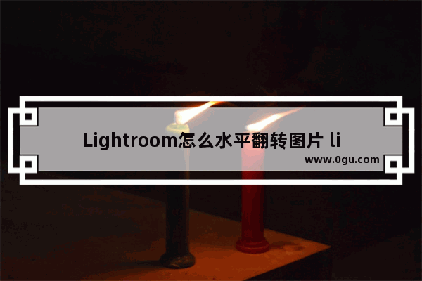 Lightroom怎么水平翻转图片 lightroom设置照片水平翻转的方法