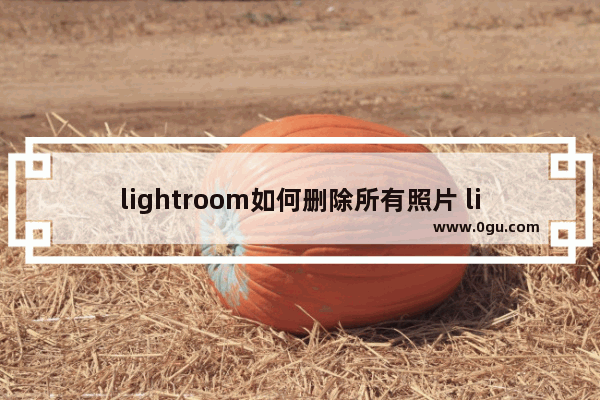 lightroom如何删除所有照片 lightroom批量移除导入的所有照片的方法