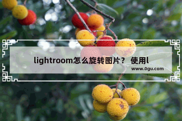 lightroom怎么旋转图片？ 使用lightroom顺时针旋转图片角度的方法