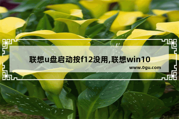 联想u盘启动按f12没用,联想win10按f12没有u盘启动