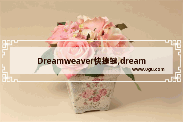 Dreamweaver快捷键,dreamweaver网页制作快捷键