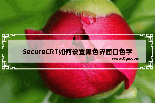 SecureCRT如何设置黑色界面白色字体