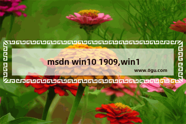 msdn win10 1909,win101909密钥