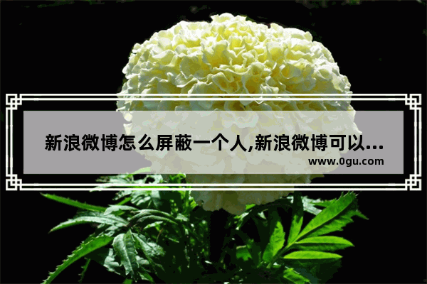 新浪微博怎么屏蔽一个人,新浪微博可以屏蔽人吗