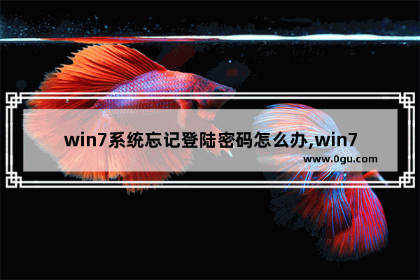 win7系统忘记登陆密码怎么办,win7系统登录密码忘记了怎么办