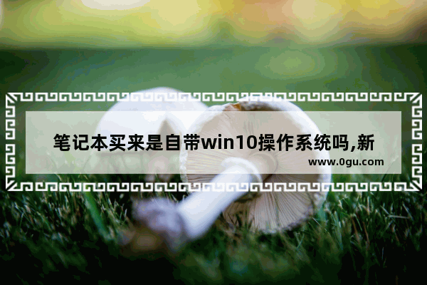 笔记本买来是自带win10操作系统吗,新买的笔记本windows 10怎么用