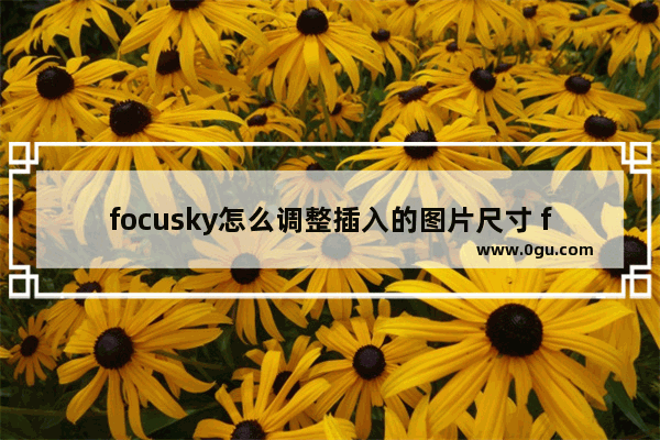 focusky怎么调整插入的图片尺寸 focusky调整插入的图片尺寸的方法