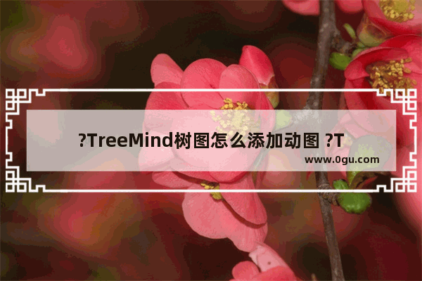 ?TreeMind树图怎么添加动图 ?TreeMind树图添加动图的方法