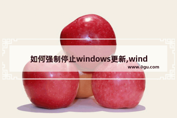 如何强制停止windows更新,windows10更新能不能强制停止