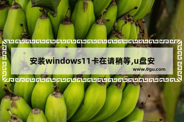 安装windows11卡在请稍等,u盘安装win10卡住