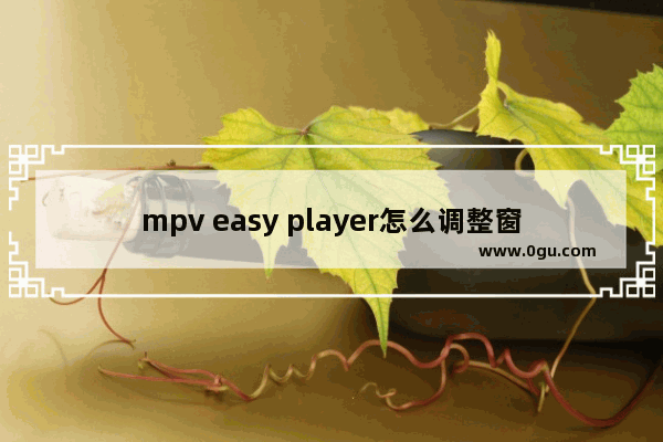 mpv easy player怎么调整窗口大小 mpv easy player调整窗口大小的方法