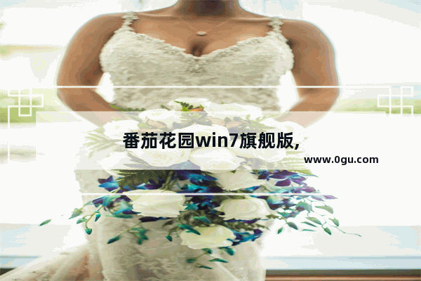 番茄花园win7旗舰版,