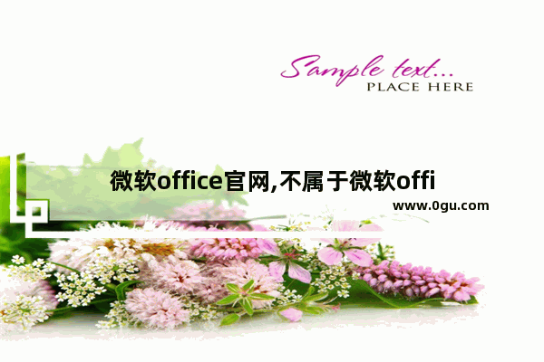 微软office官网,不属于微软office办公软件