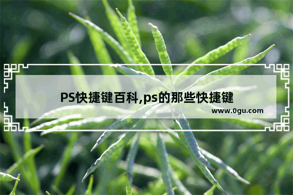 PS快捷键百科,ps的那些快捷键