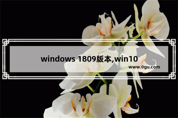 windows 1809版本,win10版本17763是1809吗