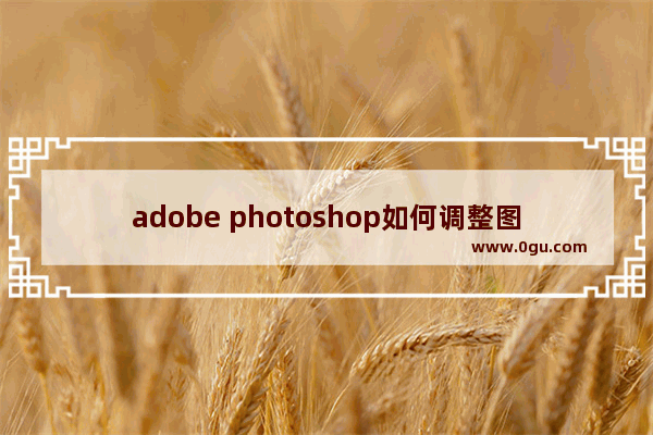 adobe photoshop如何调整图片大小,pscs6怎么放大缩小图片