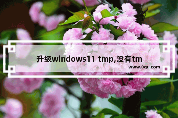 升级windows11 tmp,没有tmp2.0如何安装win11