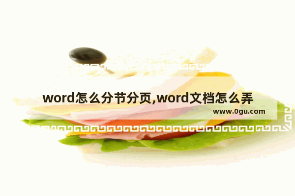 word怎么分节分页,word文档怎么弄分页