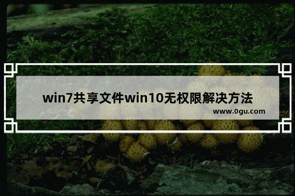 win7共享文件win10无权限解决方法,windows10共享没有权限访问