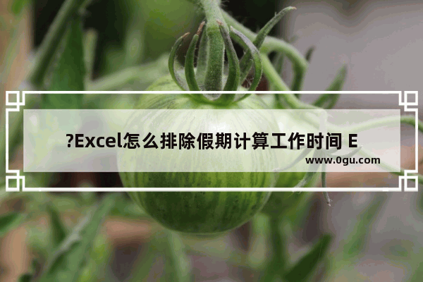 ?Excel怎么排除假期计算工作时间 Excel表格中排除假期计算工作日天数的方法教程