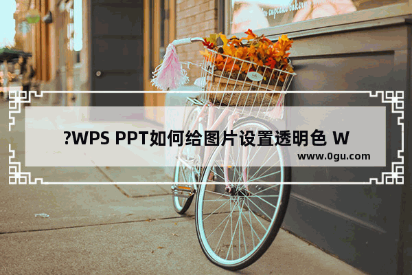 ?WPS PPT如何给图片设置透明色 WPS演示文稿电脑版调整图片透明色的方法教程