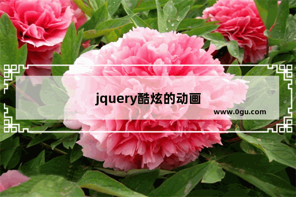 jquery酷炫的动画