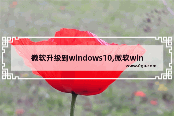 微软升级到windows10,微软windows更新