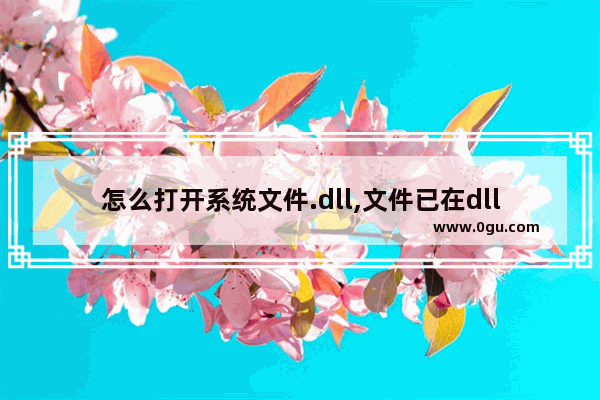 怎么打开系统文件.dll,文件已在dllhost.exe中打开