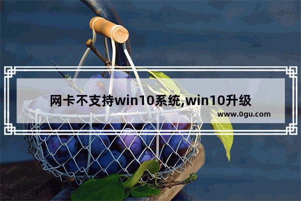 网卡不支持win10系统,win10升级网卡后不能上网