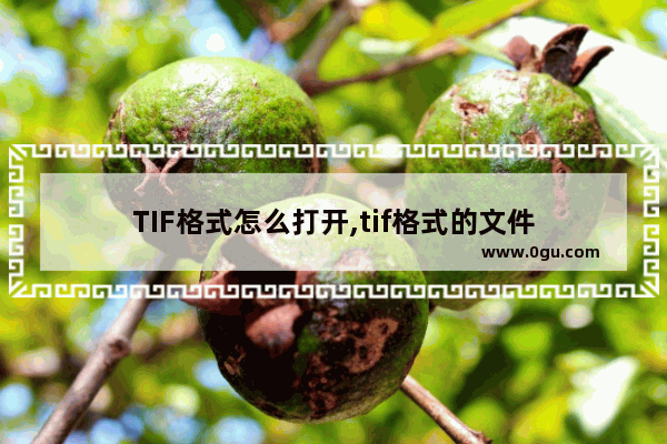 TIF格式怎么打开,tif格式的文件