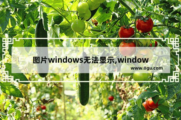 图片windows无法显示,windows显示不了图片