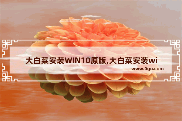 大白菜安装WIN10原版,大白菜安装windows10