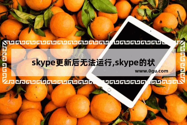 skype更新后无法运行,skype的状态