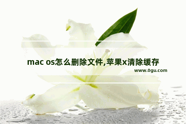 mac os怎么删除文件,苹果x清除缓存小技巧