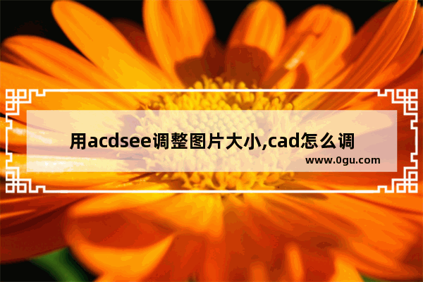 用acdsee调整图片大小,cad怎么调整图片分辨率