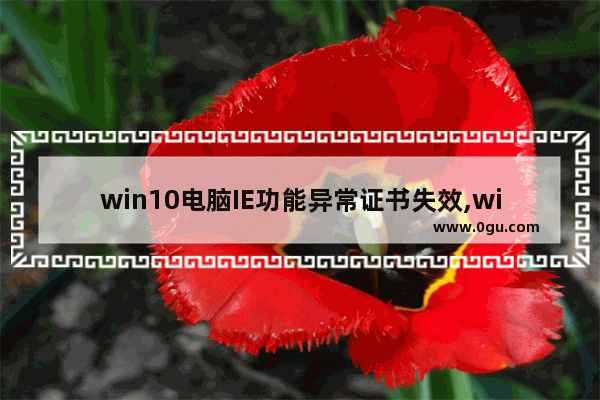 win10电脑IE功能异常证书失效,win10ie浏览器证书错误