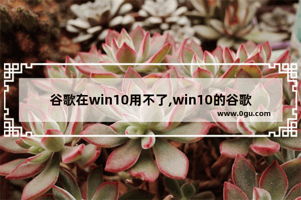 谷歌在win10用不了,win10的谷歌浏览器怎么正常使用