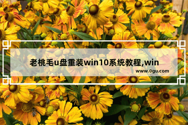 老桃毛u盘重装win10系统教程,win10老桃毛u盘重装系统教程