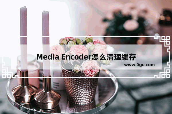 Media Encoder怎么清理缓存