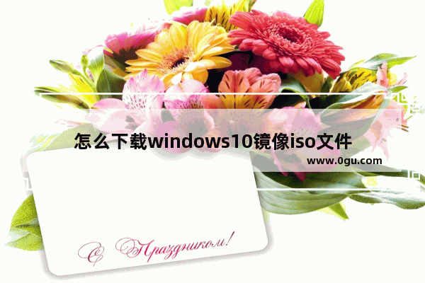 怎么下载windows10镜像iso文件,下载Windows 10 光盘映像(ISO 文件)